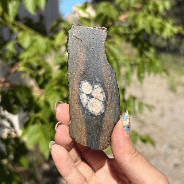 Chiastolite d'Espagne