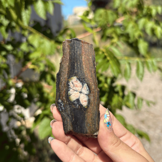 Chiastolite d'Espagne