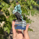 Planchéite Malachite de RD Congo