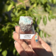 Larimar de la République Dominicaine