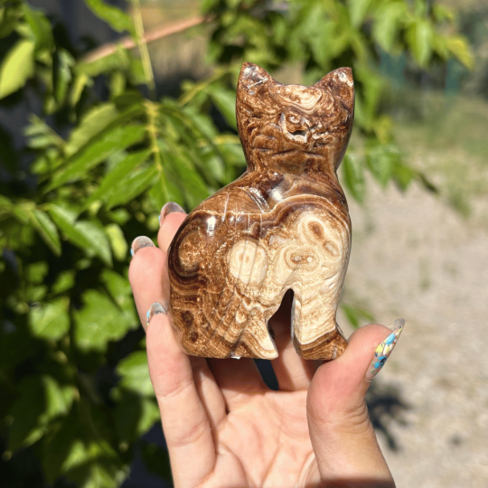 Chat en aragonite