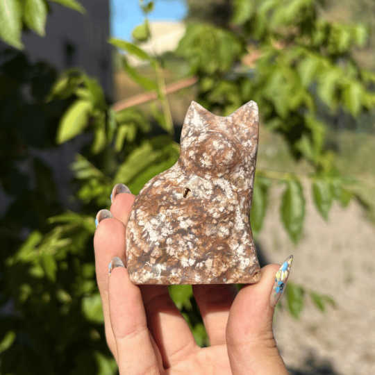 Chat en jaspe océan