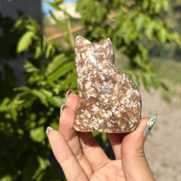Chat en jaspe océan