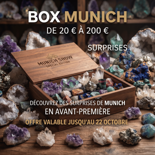Box Surprise Munich : minéraux, fossiles et bijoux à précommander