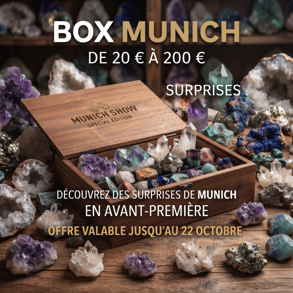 Box Surprise Munich : minéraux, fossiles et bijoux à précommander