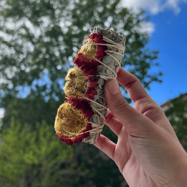 Sauge avec fleurs de tournesol