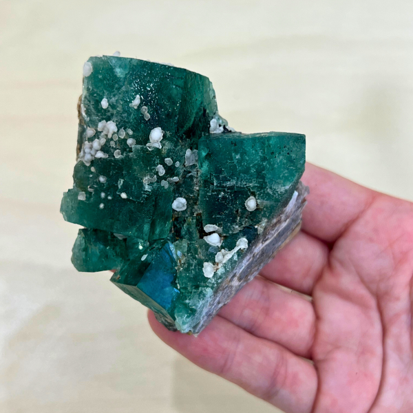 fluorite Diana Maria Angleterre