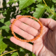 Bracelet 4mm en aventurine orange