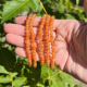 Bracelet 4mm en aventurine orange