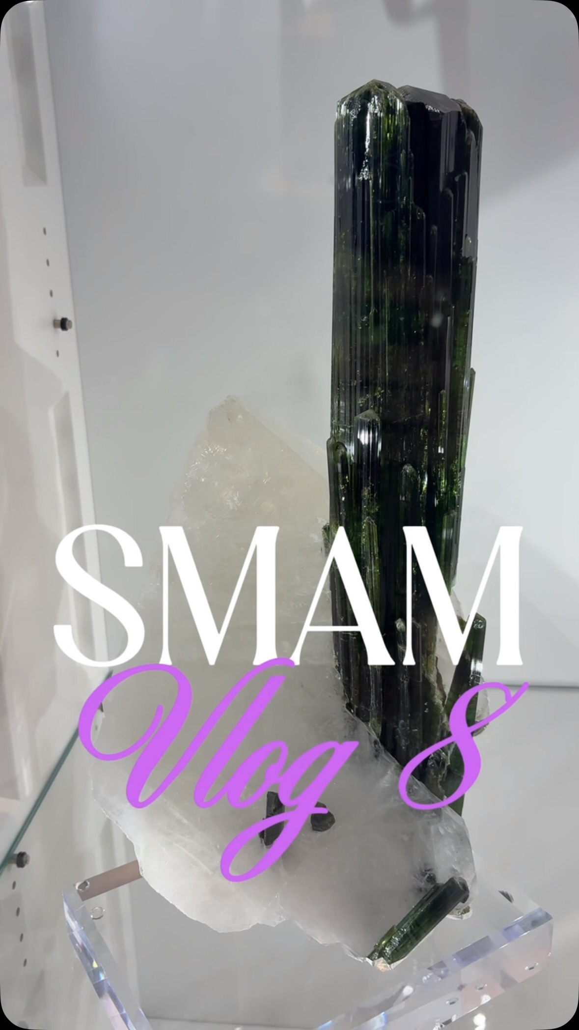 SMAM 2026 CLAP DE FIN 🎬⛈️

Et voilà, c’est déjà la fin de cette mini-série quotidienne à Sainte-Marie-aux-Mines. Ce week-end marquait l’ouverture officielle au public, et vous avez été tellement nombreux à passer sur le stand. Merci pour votre énergie, ça fait chaud au cœur !

Même si la canicule a forcé le salon à fermer plus tôt que prévu samedi à 15h, on a profité de chaque instant. Le moment le plus mémorable ? L’orage qui a éclaté pile au moment du remballage à 18h, transformant la fin du salon en vrai défi logistique sous des trombes d’eau.

Après des heures à tout démonter, préparer les palettes et vider les lieux, voir ce grand théâtre et les allées plongés dans le noir à 23h laisse toujours une sensation étrange. Une édition intense, parfois éprouvante avec la chaleur, mais magique.

Et si tu n’as pas pu venir, pas de panique : toutes les pépites dénichées cette semaine seront bientôt disponibles 💎

👇 Un immense merci à toi qui as suivi cette série jour après jour ! C’était quoi ton épisode ou ton minéral préféré de la semaine ? Dis-moi en commentaire !
