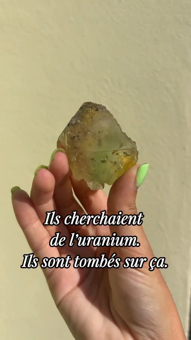 Ils cherchaient de l’uranium. Ils sont tombés sur ça, des décennies plus tard. 🙈

La Bergmännisch Glück Mine, en Allemagne, était à l’origine une mine d’argent et de cobalt. 

Après la Seconde Guerre mondiale, une nouvelle galerie a été percée pour chercher de l’uranium, donnant accès à une veine restée inexploitée jusque-là. 

Ce n’est qu’en 2005, presque 60 ans plus tard, qu’on y a découvert une poche de fluorite aux couleurs de dégradé complètement folles. 

Depuis, cette trouvaille est devenue culte chez les collectionneurs, et la mine ne ressort ces pièces que très rarement.

Elle te donne envie de commencer une collection de fluorites, ou t’en as déjà une ? ☺️