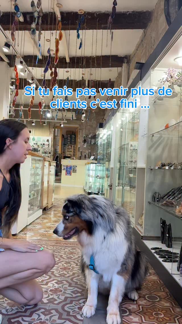 Alors qui veut profiter de cette super offre ? 😂🐶

Le magasin est ouvert tous les jours de 10h30 à 19h et au mois de juillet et août il y’a nocturnes le mercredi et vendredi soir 🌙

Est ce que l’offre de Pipok va fonctionner 🙈
