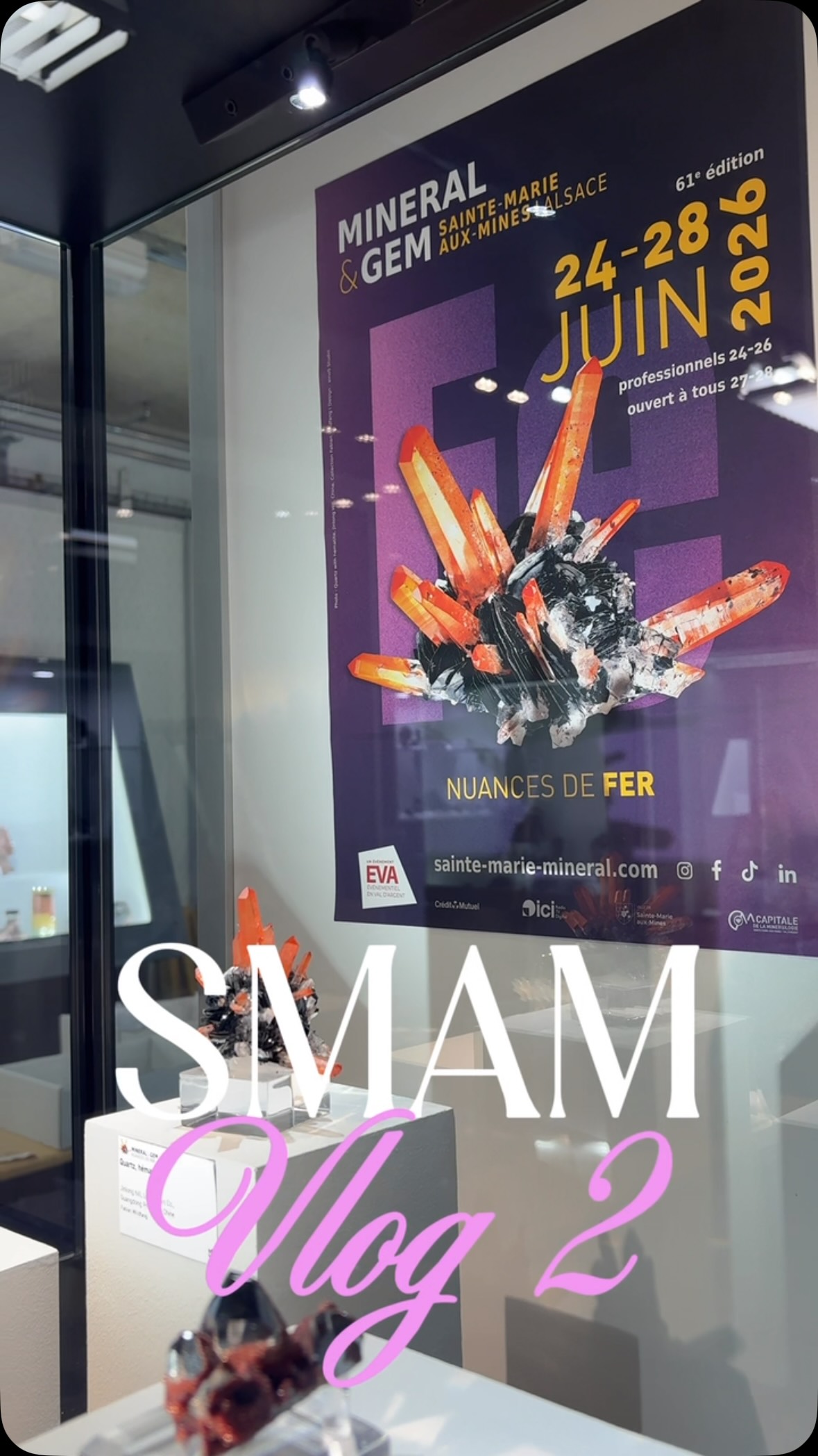 SMAM 2026 JOUR 2 : L’Exposition Prestige & premières pépites 💎✨

On grimpe d’un niveau pour ce deuxième jour à Sainte-Marie-aux-Mines. Debout dès 7h pour récupérer les badges d’exposant, et la journée a commencé très fort : j’ai eu l’immense privilège d’installer mes propres pièces au sein de la célèbre Exposition Prestige ! 🏛️

Le thème de cette édition, « Les nuances de fer », est une pure merveille visuelle. Entre musées nationaux et grands collectionneurs privés, les vitrines s’annoncent légendaires. J’ai pu filmer en avant-première une hématite irisée, des goethites incroyables, ou encore une liddicoatite du Muséum d’Histoire Naturelle de Paris à couper le souffle.

Même si le stand n’est pas tout à fait fini (on peaufine demain), j’ai profité du calme du dimanche pour dénicher mes premiers coups de cœur : des améthystes de Namibie ultra-limpides dont une avec de la préhnite, une fluorine namibienne aux reflets arc-en-ciel, une shattuckite avec malachite, une apatite de Russie et une zaratite d’Australie.

📩 Toutes ces nouveautés, ainsi que les pièces présentées en fin de vidéo comme la gibbsite ou la calcite de Chine, sont déjà disponibles à la vente en message privé !

On se retrouve demain pour les derniers préparatifs avant l’ouverture !

👇 Si tu pouvais repartir avec une seule de mes trouvailles du jour, ce serait laquelle ? Dis-moi en commentaire !