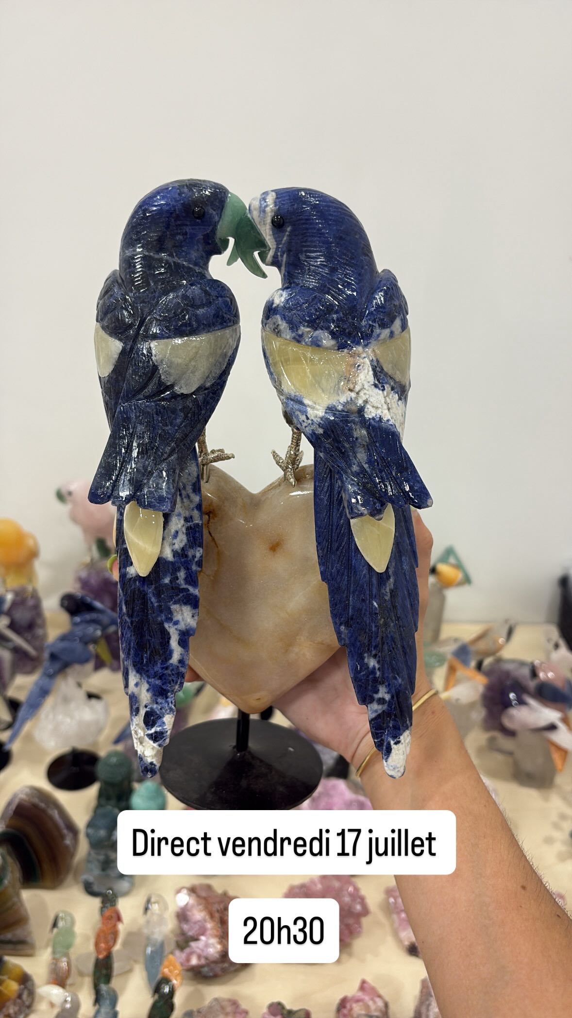 On se retrouve vendredi à 20h30 pour un direct 😍🦜

Au programme, on va avoir de la fluorite d’Argentine, des bouddhas mais aussi…

Le retour des oiseaux du Brésil 🇧🇷 

De la Cobaltocalcite, des arbres et les fils de perles 😍

Un joli programme pour vendredi soir, et il se peut qu’il y ait un after avec d’autres oiseaux 🙈🙈
