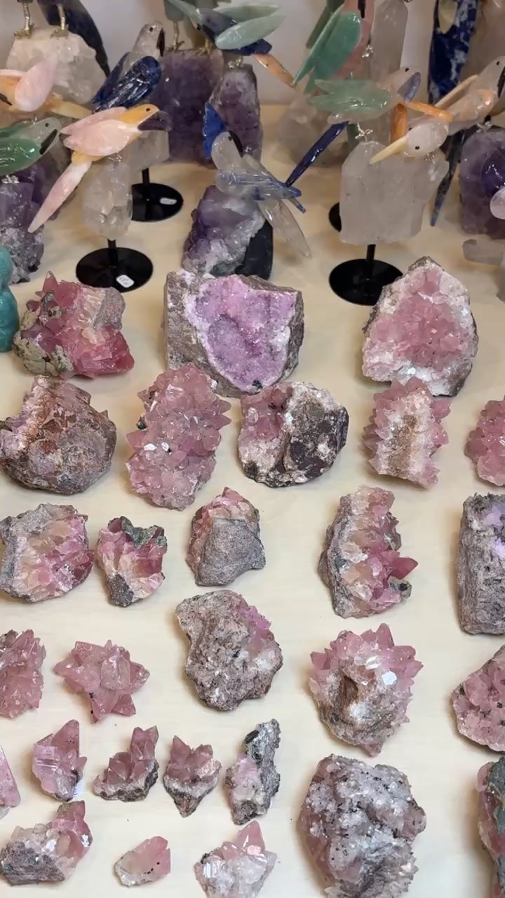 Replay direct 😍

Merci pour cette super soirée pour la tramp replay il reste de jolies choses disponibles n’hésitez pas à me faire un mp 😉
