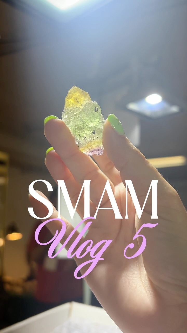 SMAM 2026 — JOUR 5 : Entre découvertes rares et coups de cœur visuels 🔍⚡️

Nouvel épisode de notre série quotidienne au salon ! Aujourd’hui on commence très fort avec de superbes fluorites d’Allemagne aux reflets tricolores incroyables (inutile de me demander le nom de la mine, il est totalement imprononçable ! 😂).

La journée a aussi été marquée par de belles trouvailles et pas mal de curiosités :

🔹 Une nouveauté pour moi : la foitite, une tourmaline assez rare. Sa particularité, c’est que c’est une tourmaline « déficiente en alcalins » — en clair, il lui manque le sodium qu’on trouve dans la plupart de ses cousines. On la reconnaît à ses teintes bleu-noir à indigo et à ses cristaux souvent fins et fibreux. Les prix étaient un peu élevés, mais c’était passionnant à observer.

🔹 Une sélection de pyrites atypiques : on a l’habitude de les voir en cubes parfaits, mais celles-ci se développaient en petits triangles et en octaèdres ultra-brillants.

🔹 Pour le plaisir des yeux, de monumentaux jaspes océan aux teintes rouges, roses et vertes.

🔹 Côté commandes spéciales, j’ai déniché de superbes quartz à épidote et une belle série de pendentifs en ammolite aux éclats irisés.

Pour la labradorite et la shattuckite par contre, les prix du salon s’envolent un peu trop cette année. Je préfère faire l’impasse ici et passer par mes fournisseurs habituels, histoire de te garantir une qualité irréprochable au juste prix.

📩 Les pyrites, les quartz à épidote et les nouveautés en améthyste du Kazakhstan ou fluorite sont dispos en DM !

👇 Et toi, ça t’arrive encore de tomber sur un minéral dont tu n’avais jamais entendu parler, comme moi avec la foitite aujourd’hui ? Dis-moi ta dernière découverte en commentaire !