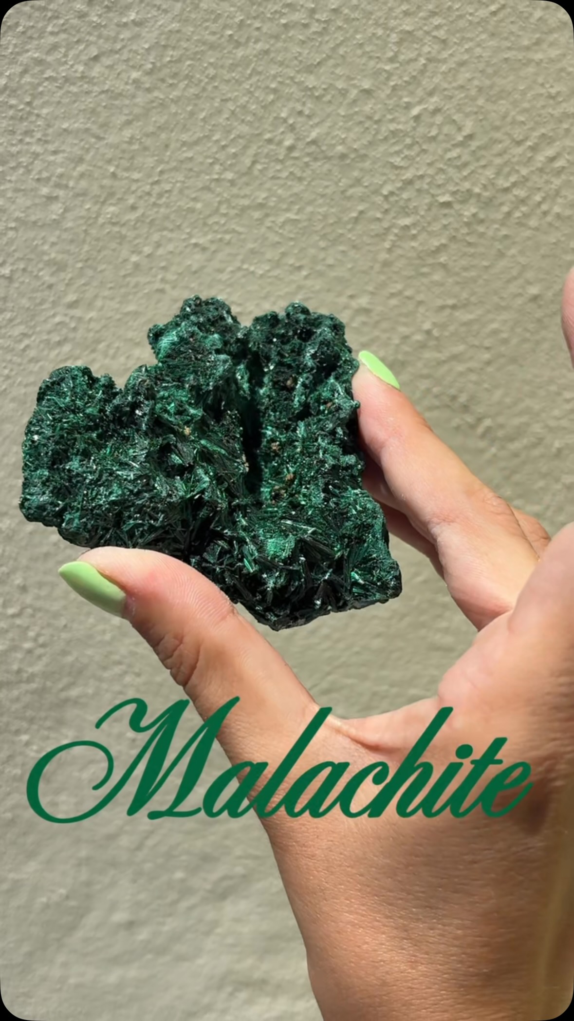 Tu regardes cette pierre tous les jours sans forcément connaître son histoire. 💚

La Malachite est un carbonate de cuivre qui se forme dans les zones d’oxydation des gisements cuprifères, souvent aux côtés de l’azurite, de la cuprite ou de la chrysocolle. Sa couleur verte si intense vient directement de sa teneur en cuivre.

Ce qui rend la malachite unique, c’est la diversité de ses formes : elle peut se présenter en croûtes botryoïdales, en masses fibreuses soyeuses, en stalactites concentriques, ou encore en bandes qui rappellent les cernes d’un arbre quand on la tranche et qu’on la polit. Elle est utilisée comme minerai de cuivre depuis l’Antiquité, on retrouve des traces de son exploitation en Égypte dès 3000 avant notre ère.

Voici plusieurs pièces que j’ai en ce moment. Laquelle est ta préférée ?